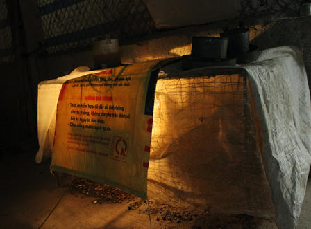 Làng nuôi gà Móng “nhộn nhịp” phục vụ tết Nguyên đán